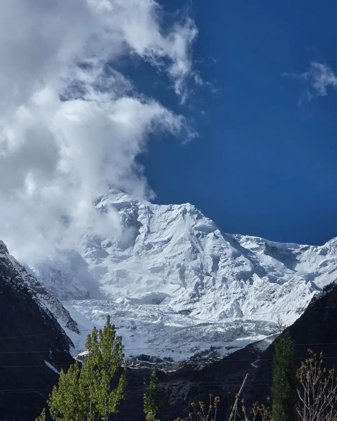 Snow-covered Rakaposhi peak rising above pine slopes in Hunza