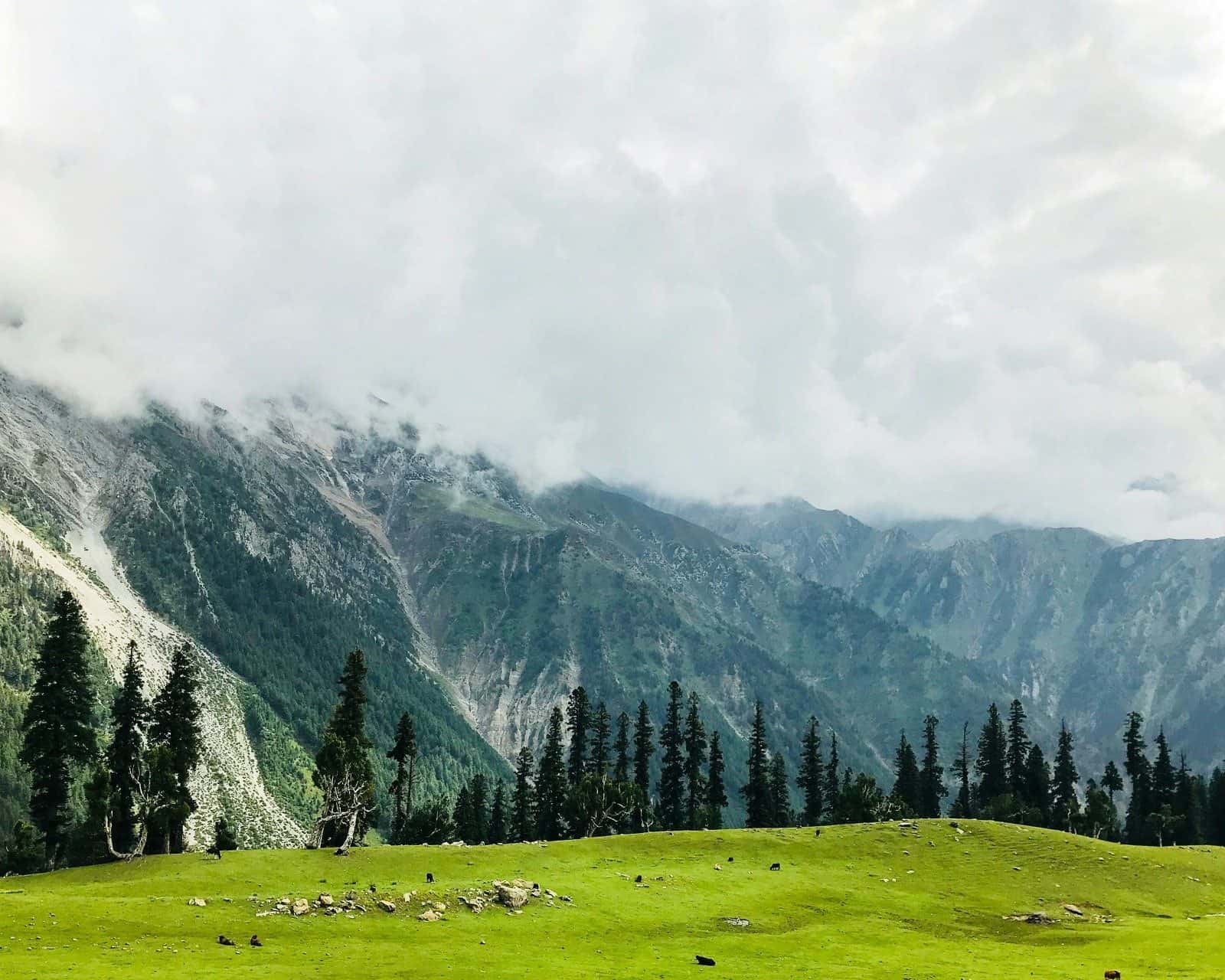 Fairy Meadows & Naran landscape